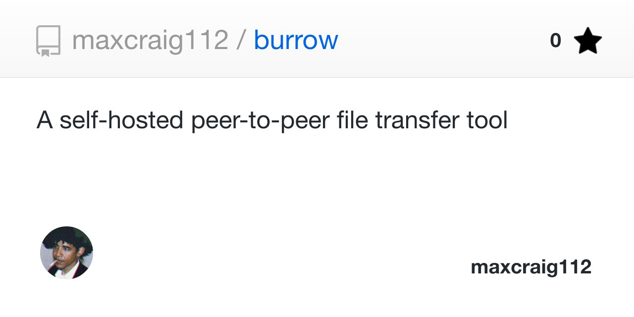 Burrow repository